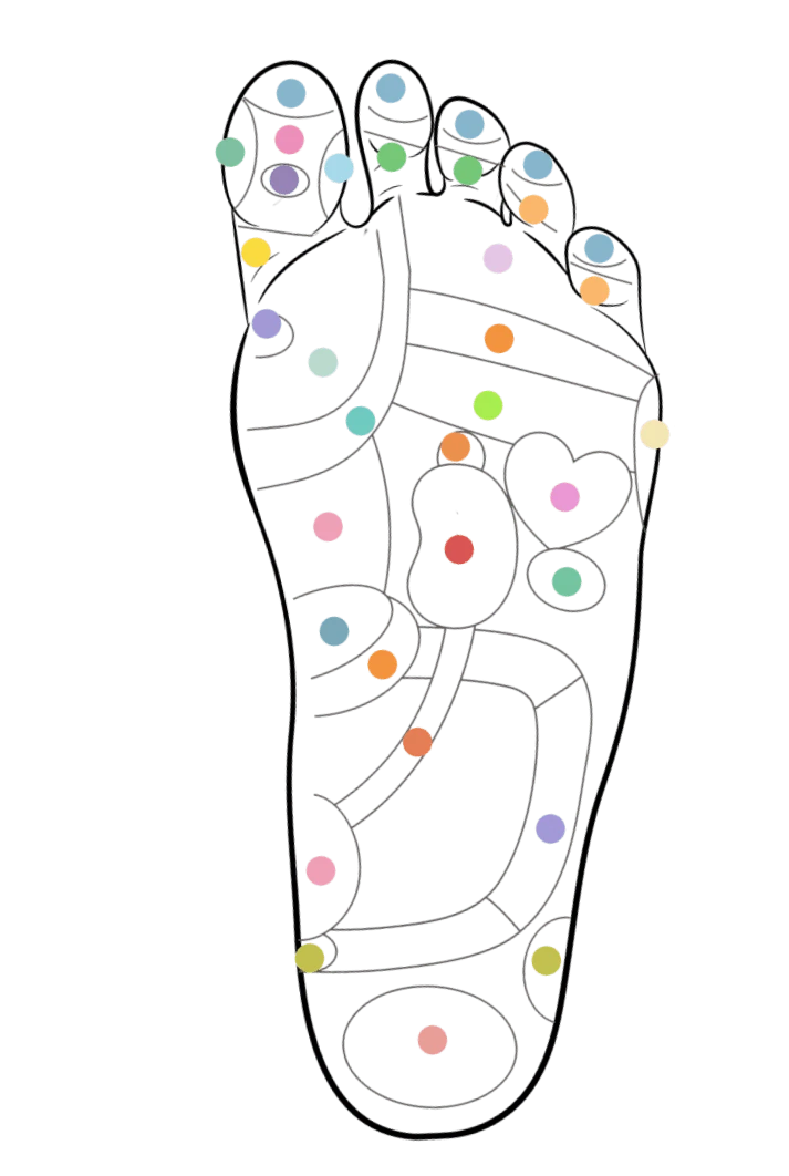 Mapa de los puntos de acupresión en la planta del pie, ilustrando cómo las plantillas Akusoli dirigen su acción.